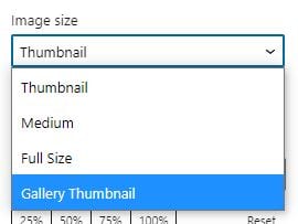 Image Size Dropdown Selection